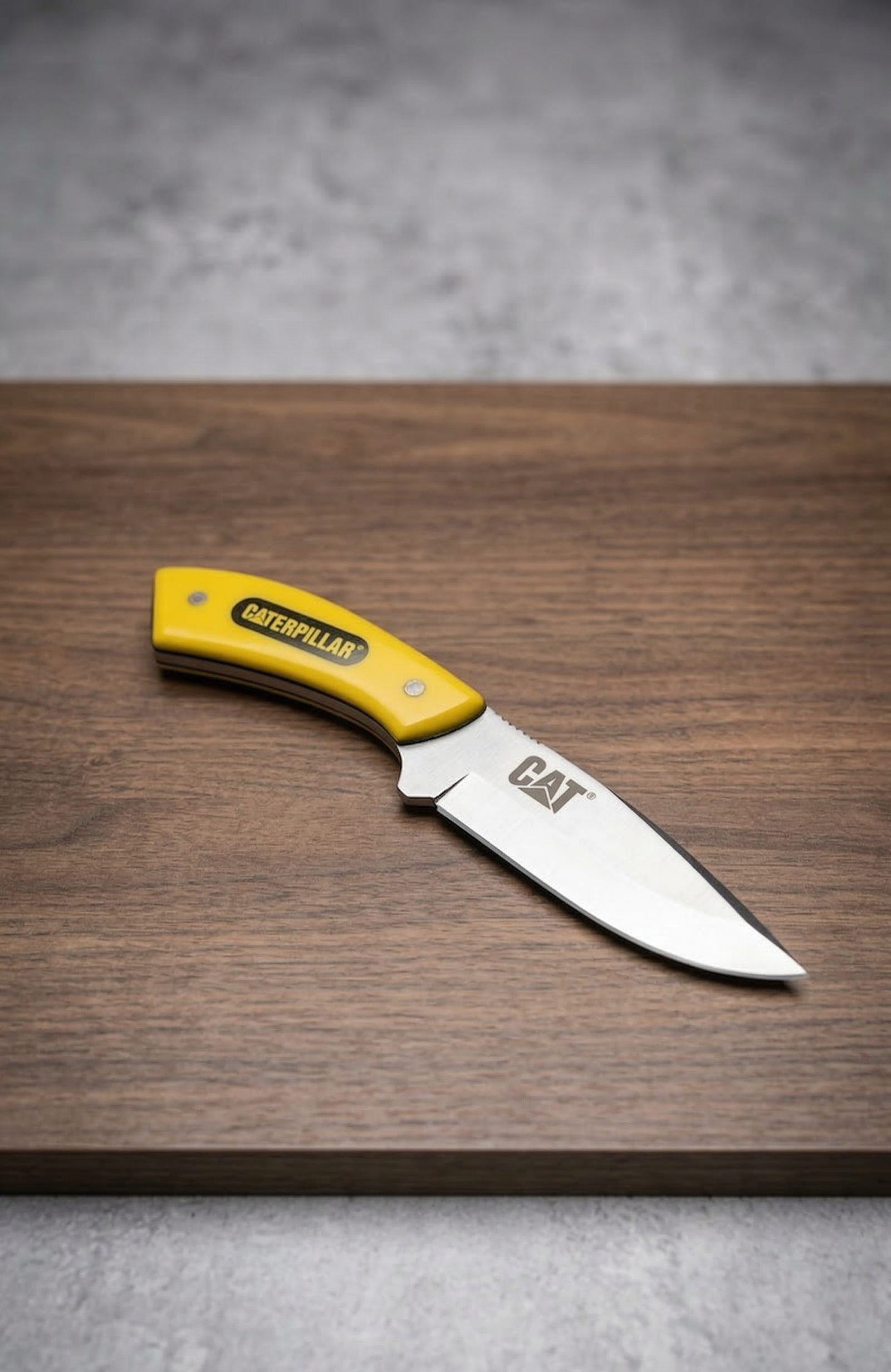 Kit Adventure Cat + Regalo Exclusivo