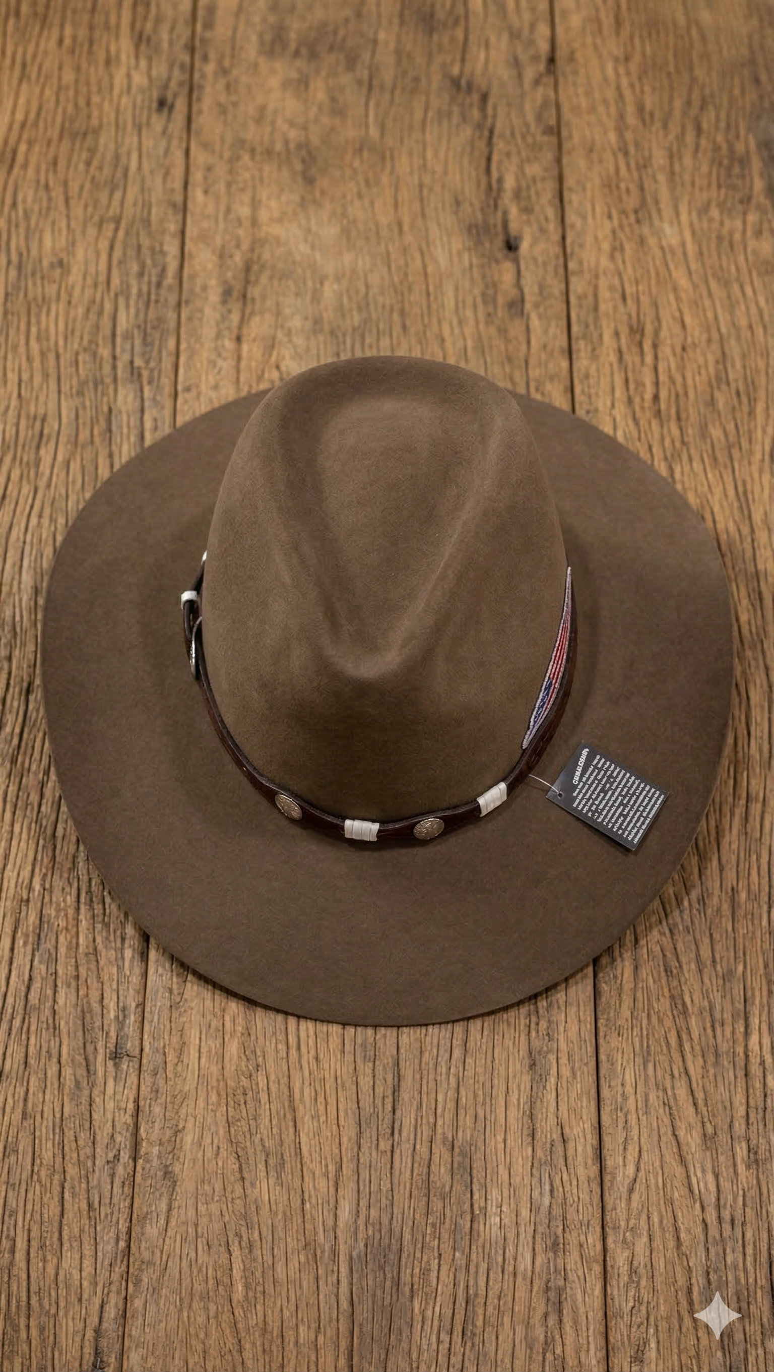 KIT ADVENTURE CAT (6 en 1) + REGALOS EXCLUSIVOS