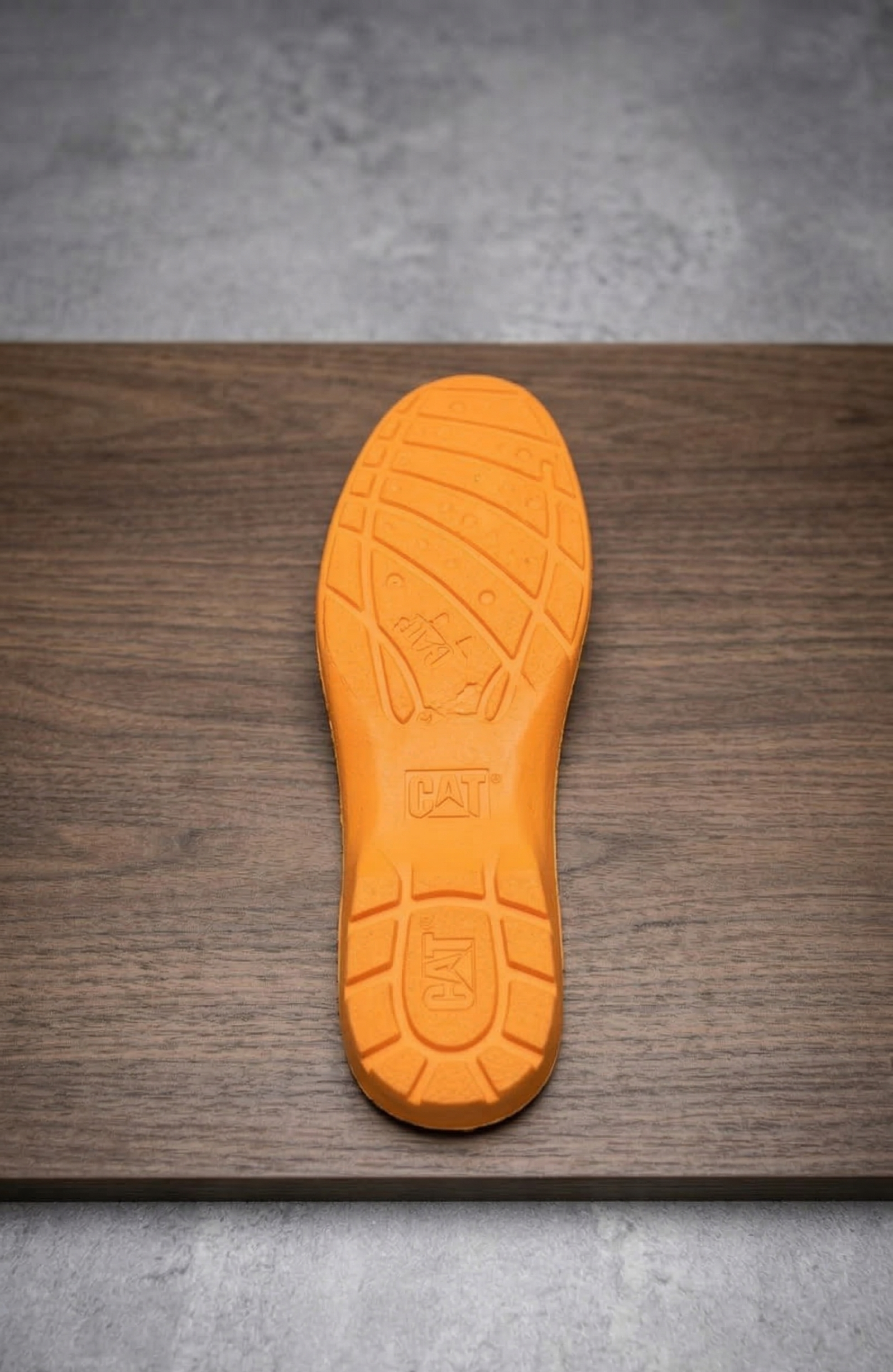 Kit Adventure Cat + Regalo Exclusivo