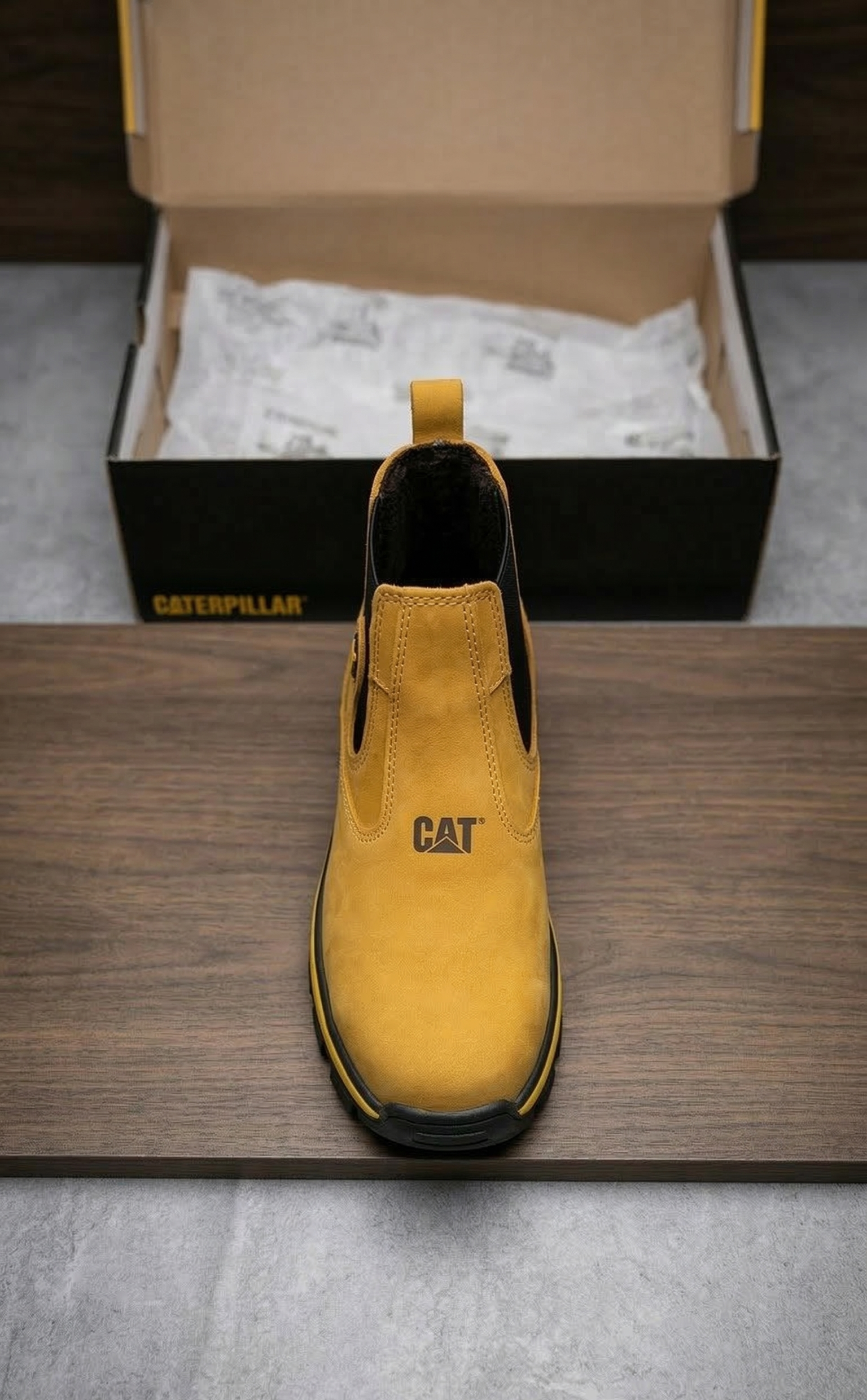 Kit Adventure Cat + Regalo Exclusivo